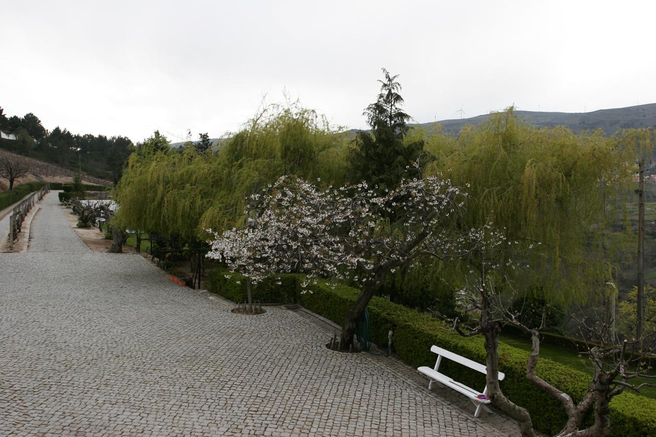 Hotel Quinta Da Timpeira Lamego Esterno foto